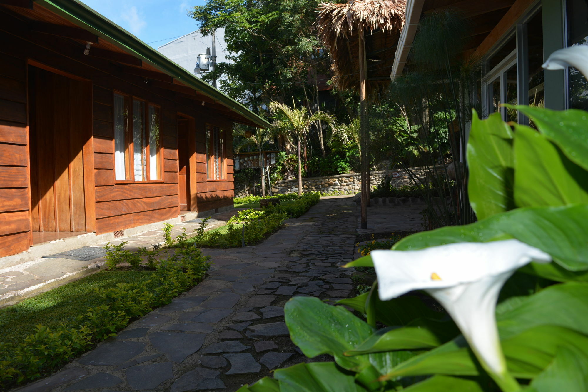 Santa Elena Hostel Resort Monteverde Eksteriør bilde